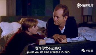 意乱情迷在线观看,一场跨越时空的浪漫邂逅  第3张